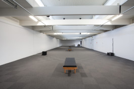 Morten Norbye Halvorsen