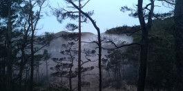 Morten Norbye Halvorsen