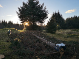 Morten Norbye Halvorsen