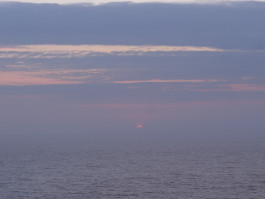 Morten Norbye Halvorsen