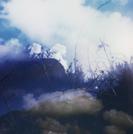 Morten Norbye Halvorsen