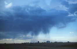 Morten Norbye Halvorsen