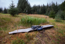 Morten Norbye Halvorsen