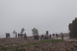 Morten Norbye Halvorsen