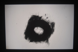 Morten Norbye Halvorsen