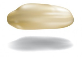 Morten Norbye Halvorsen