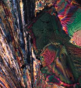 Morten Norbye Halvorsen